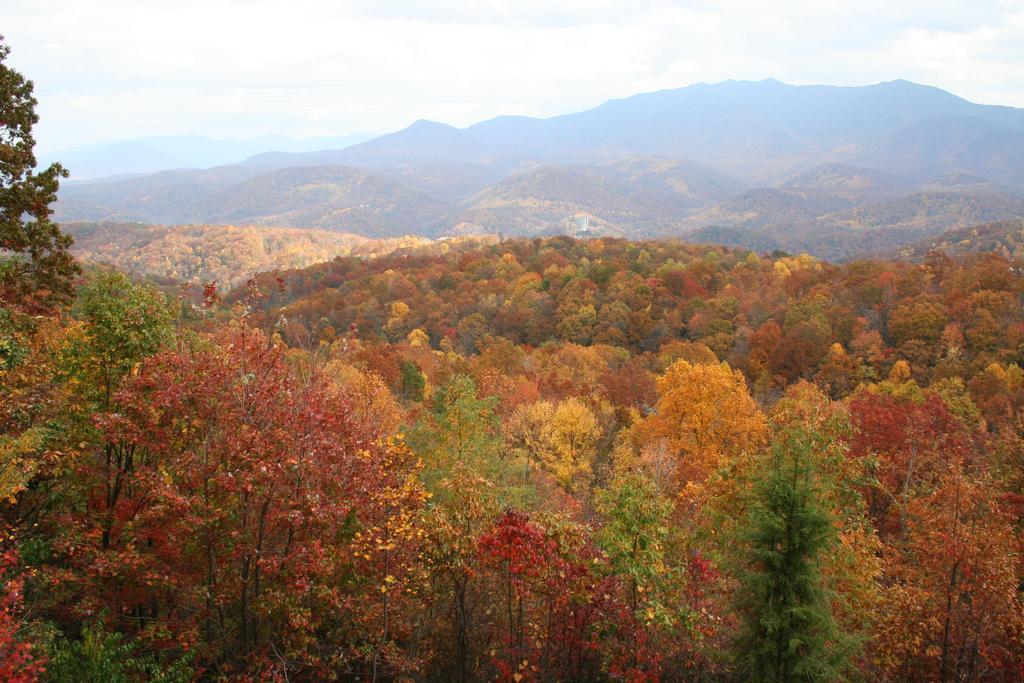 The Foxtrot Bed And Breakfast Gatlinburg Εξωτερικό φωτογραφία